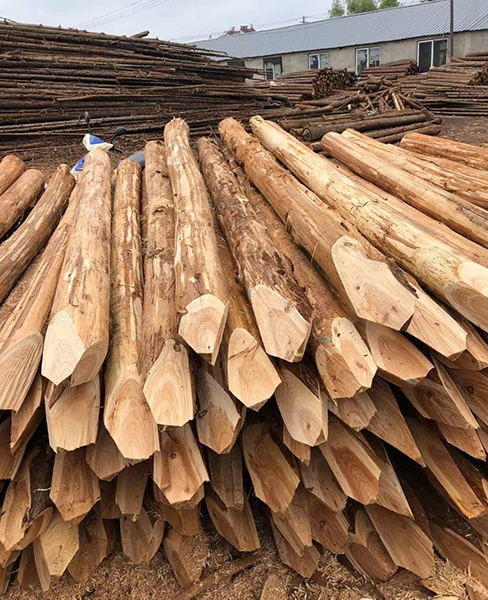 深耕行業(yè)，匠心為本 樂(lè)業(yè)木業(yè)杉木樁與鑿巖釬具的品質(zhì)之路